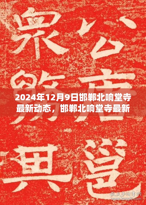 最新动态报道