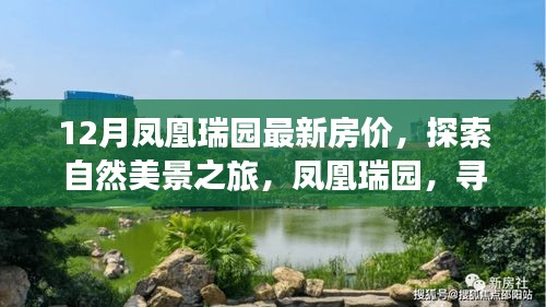 凤凰瑞园最新房价揭秘，自然美景与心灵宁静的双重体验