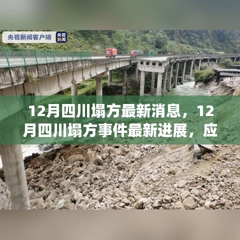四川塌方事件最新进展及应对指南，全面了解塌方的步骤与应对方法