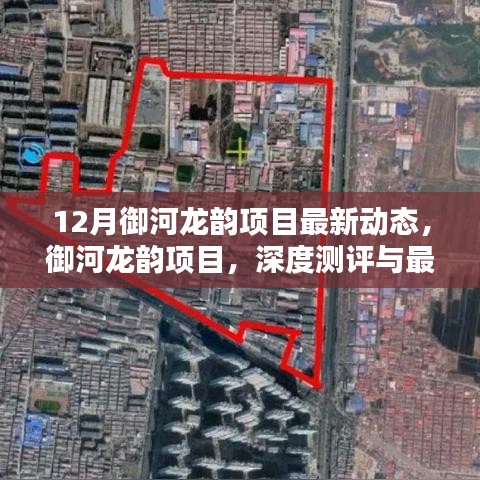 最新动态解析