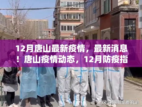 采椽不斫 第3页