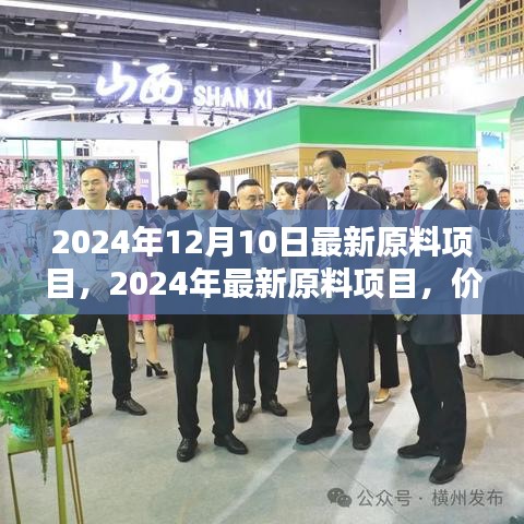 价值挖掘与挑战并存，最新原料项目的未来展望（2024年）