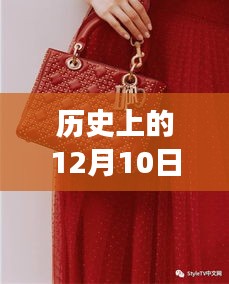 探索迪奥包包背后的故事，与自然美景共舞，开启寻找内心宁静之旅的12月10日最新篇章