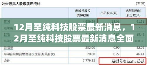 掌握最新动态，全面解析至纯科技股票最新消息与趋势分析（12月版）