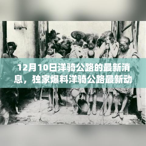 独家爆料，洋骑公路最新动态，震撼更新发布于12月10日