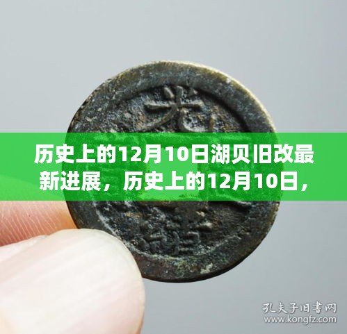 湖贝旧改最新进展，历史视角下的进展详解与操作指南（12月10日更新）