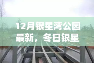 冬日银星湾，银星湾公园的温馨日常故事