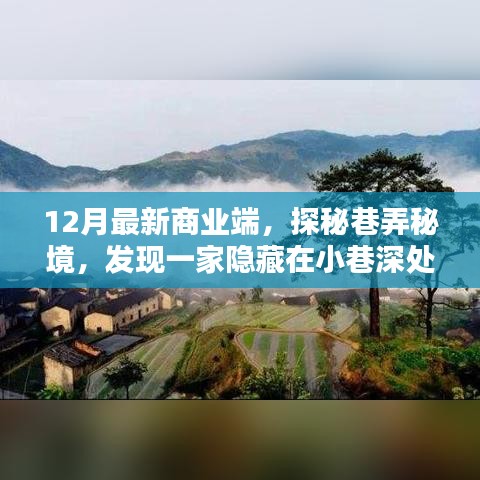 探秘巷弄秘境，发现隐藏小巷的特色小店，领略商业新风尚