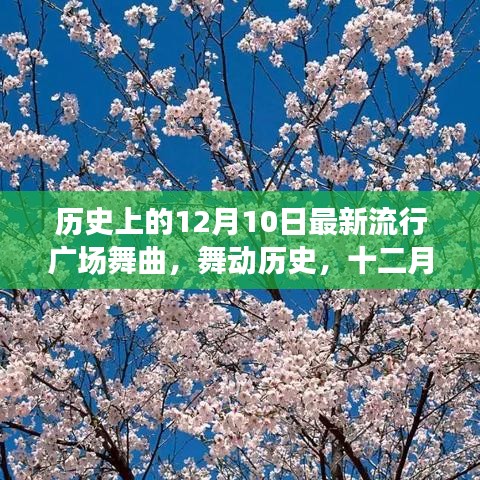 十二月十日广场舞曲，舞动历史的旋律与影响