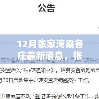 张家湾梁各庄12月最新动态深度评测与最新消息汇总