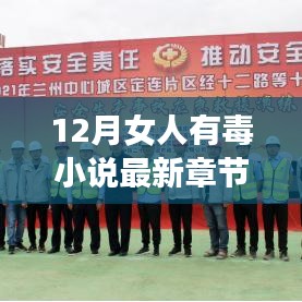 十二月女人有毒最新章节深度解析与书评热议