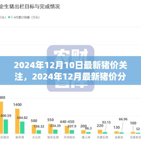 2024年12月最新猪价分析与展望，深度关注未来走势