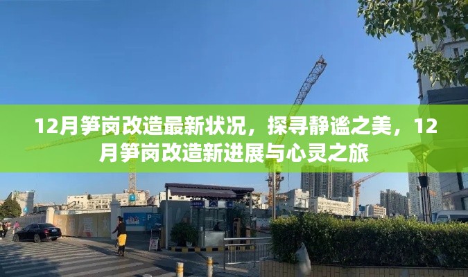探寻静谧之美，12月笋岗改造最新进展与心灵之旅