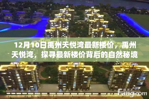 禹州天悦湾最新楼价揭秘，探寻自然秘境之旅的置业指南（日期，12月10日）
