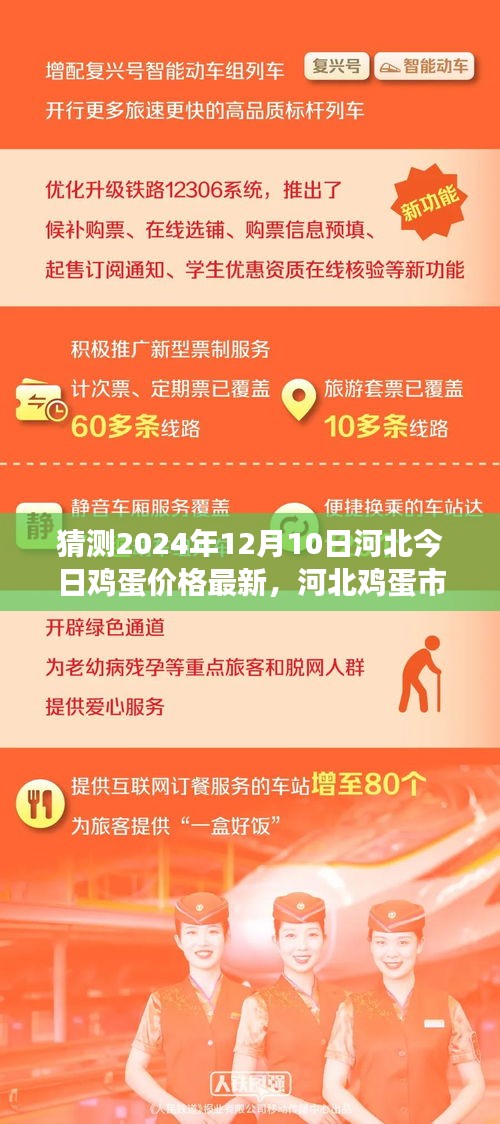 河北鸡蛋市场风云变幻，最新鸡蛋价格预测及未来影响分析