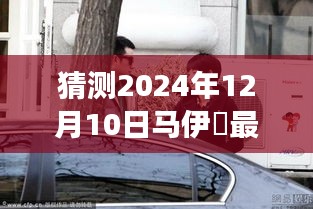 马伊琍最新金句探秘，小巷深处的独特小店背后的故事，2024年12月10日预测揭秘