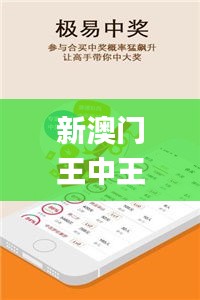 新澳门王中王100%期期中345期,实地分析考察数据_L版4.326