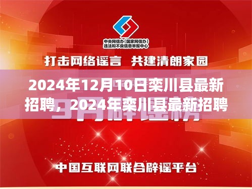 2024年栾川县最新招聘趋势及职业机会探索，12月10日招聘信息一览