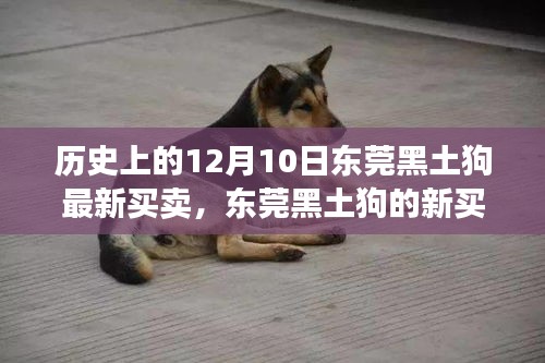 东莞黑土狗新买卖，绿色探险之旅寻找内心平静