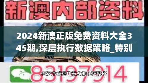 2024新澳正版免费资料大全345期,深层执行数据策略_特别款8.330