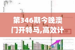 第346期今晚澳门开特马,高效计划实施解析_BT7.772