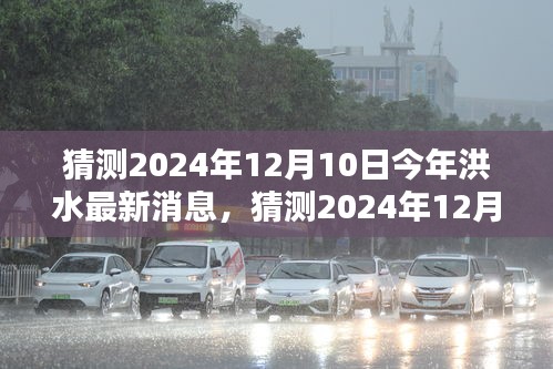 深度解析，预测2024年洪水最新消息及应对策略