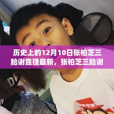 片口张舌 第4页
