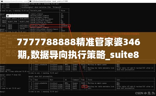 7777788888精准管家婆346期,数据导向执行策略_suite8.972