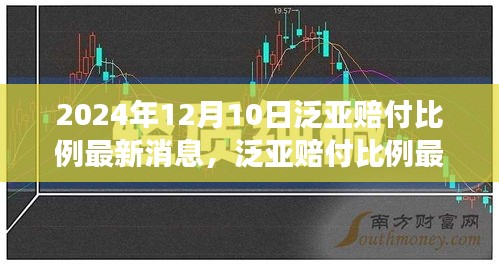 2024年12月10日泛亚赔付比例最新动态与深度解读