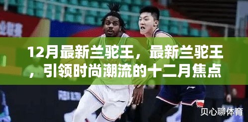 时尚焦点，最新兰驼王引领十二月潮流风潮