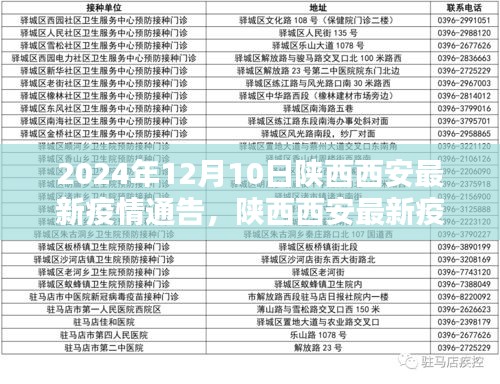 陕西西安最新疫情通告，分析与观点阐述（日期更新至2024年）