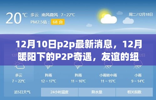 12月暖阳下的P2P最新动态，友谊与家的温馨奇遇