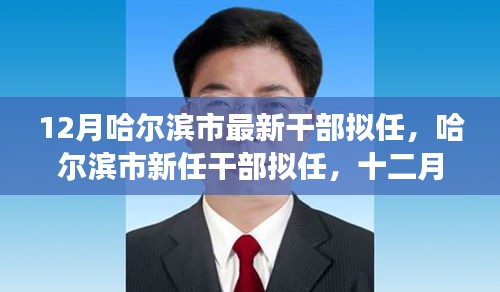 打张鸡儿 第4页