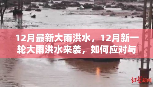 小红书教你应对与防范，12月新一轮大雨洪水来袭！