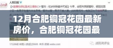 合肥铜冠花园最新房价动态及走势分析，多重因素与观点碰撞揭秘