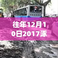 涿州最新限号通知发布，出行必备攻略！