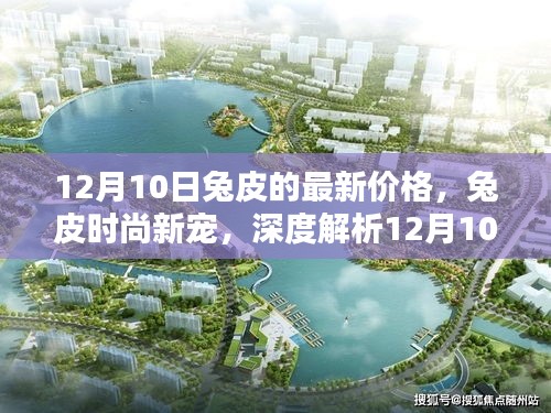兔皮时尚新宠，深度解析最新价格及使用体验