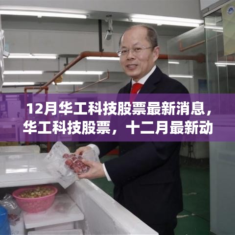华工科技股票最新动态与领域地位回顾，十二月最新消息解析