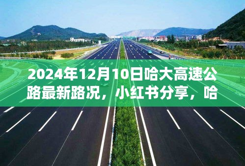 2024年12月10日哈大高速公路实时路况报告，小红书分享，掌握最新出行信息