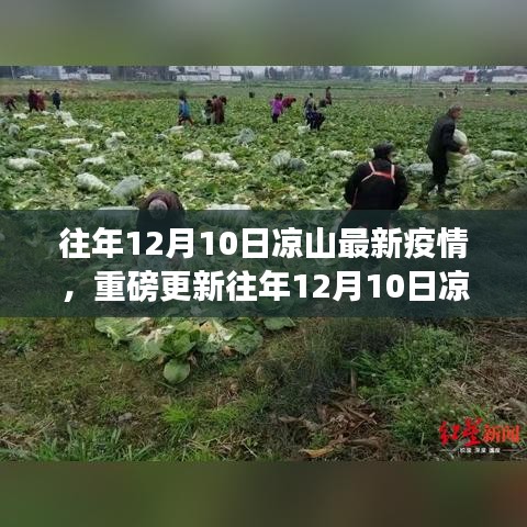 关注健康行动，往年12月10日凉山最新疫情动态重磅更新