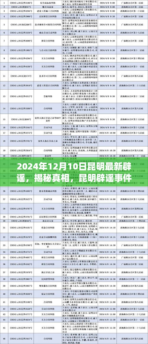 揭秘真相！昆明辟谣事件深度解析——最新辟谣深度解读（2024年12月10日）