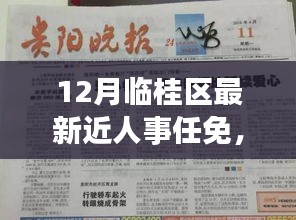 临桂区十二月人事任免背后的故事，最新任免动态与日常温馨回顾