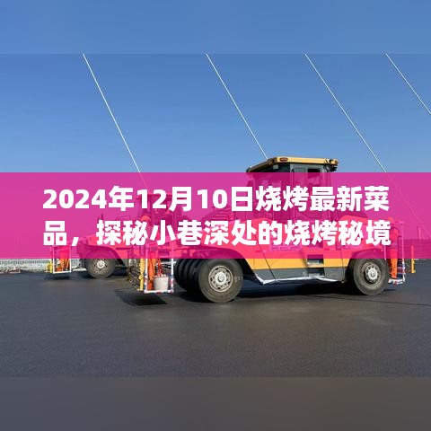 探秘小巷深处的烧烤秘境，2024年特色烧烤新风尚揭秘！