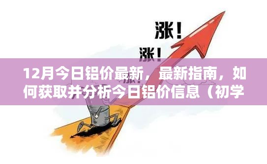最新铝价指南，如何获取并分析今日铝价信息，适合初学者与进阶用户
