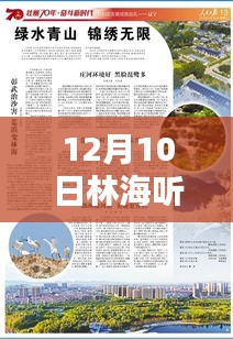 12月10日林海听涛最新作品深度解析与赏析