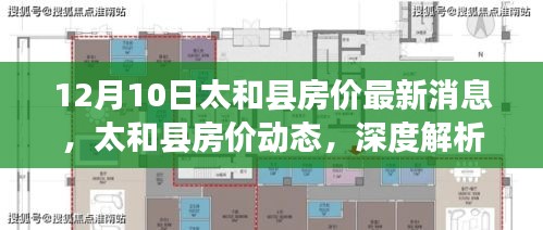 太和县房价最新动态及深度解析市场趋势（12月10日更新）