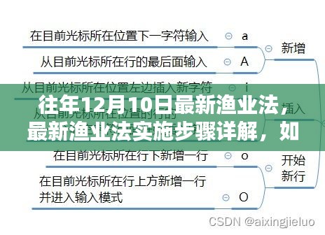 最新渔业法解读，实施步骤详解与顺利适应执行指南