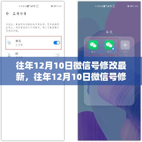 往年12月10日微信号最新修改动态及优化个人号信息提升影响力指南