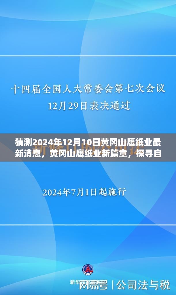 黄冈山鹰纸业新篇章，探寻自然美景之旅启程于2024年12月10日的心灵宁静之旅