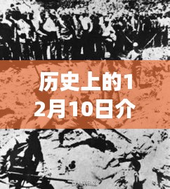 深度解读，历史上的12月10日最新一集介绍